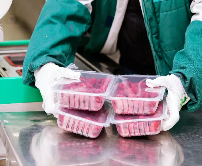 Storage equipment, agitation   And Mixtures For The Food Industry 
