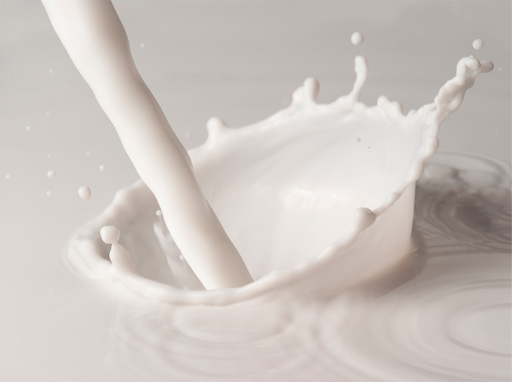 Embalse de leche y derivados
