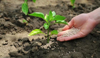 fertilizers and fertilizers