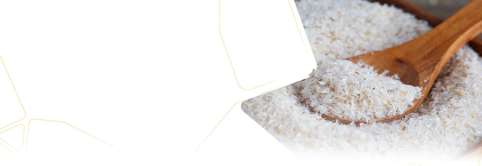 Segments   Paper And Pulp 