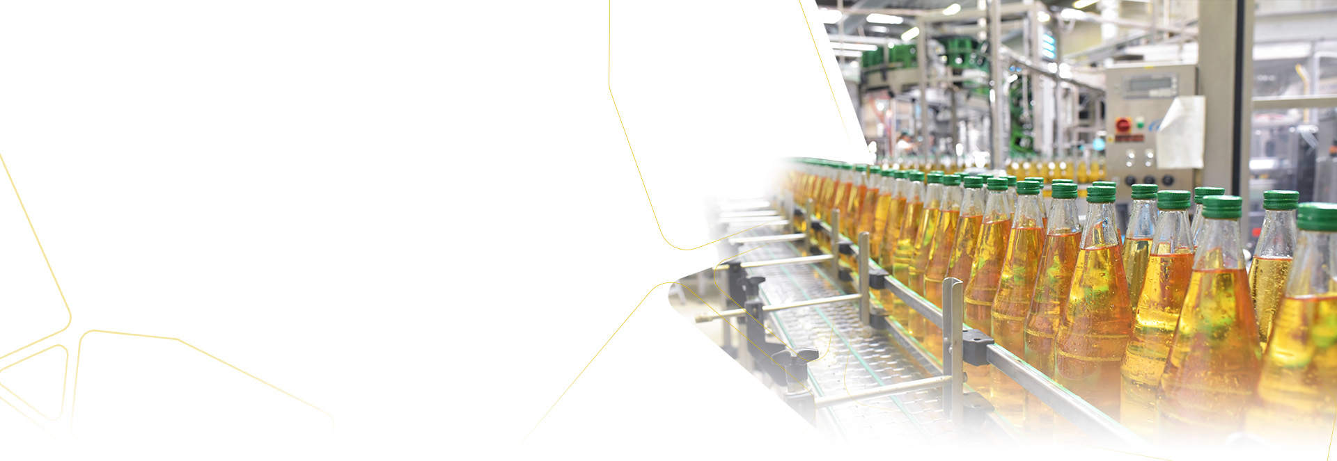 Segments   Food Industry 