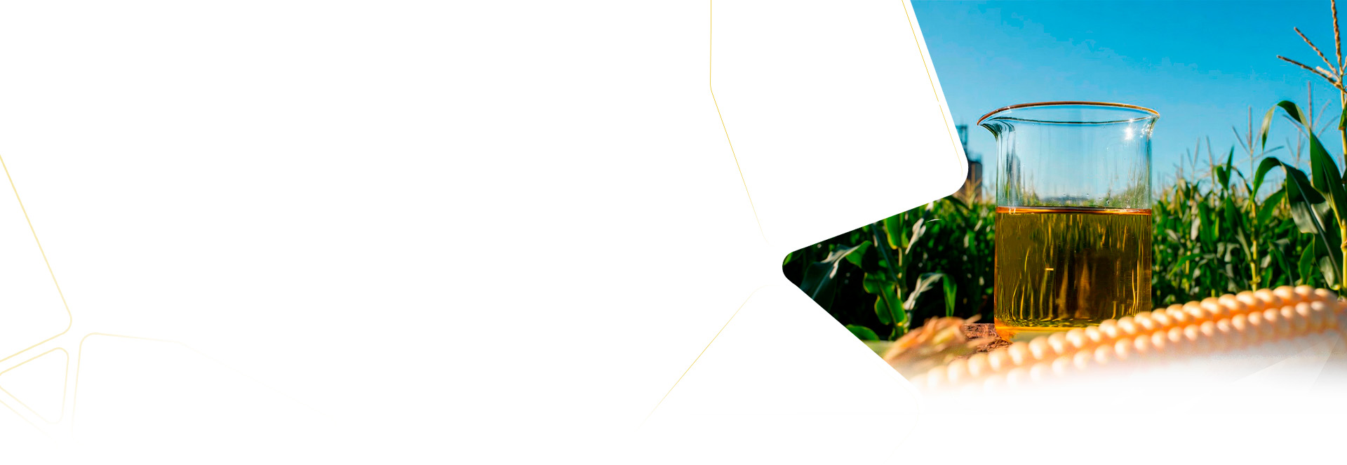 Segments  Corn Ethanol