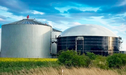 Biogas Sector