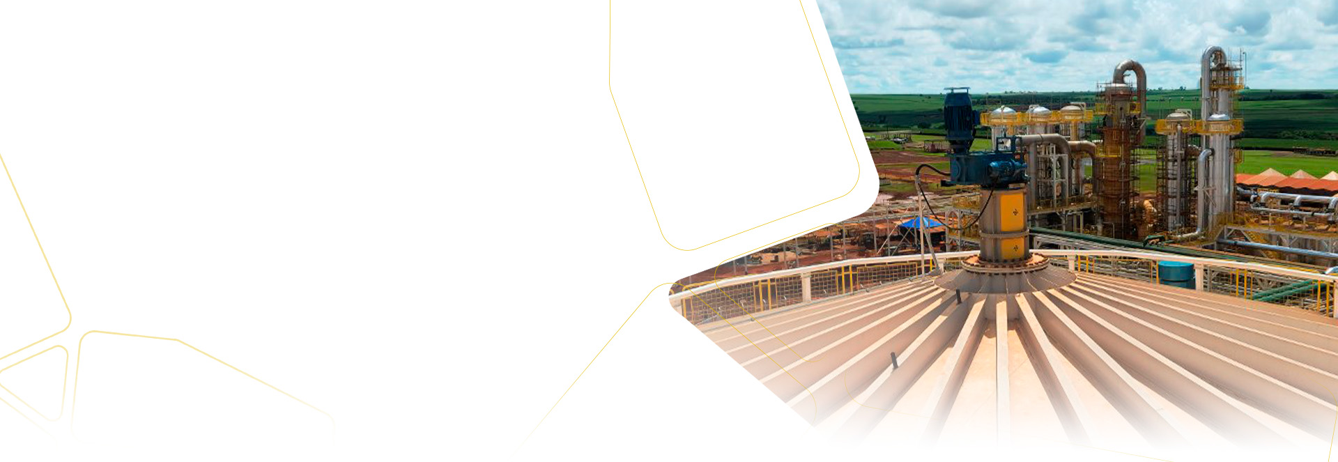 Segments  BiodieselSector